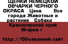 ЩЕНКИ НЕМЕЦКОЙ ОВЧАРКИ ЧЕРНОГО ОКРАСА › Цена ­ 1 - Все города Животные и растения » Собаки   . Красноярский край,Игарка г.